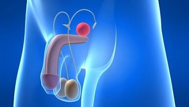 Podmazivanje kod muškaraca za vrijeme uzbuđenja što je to